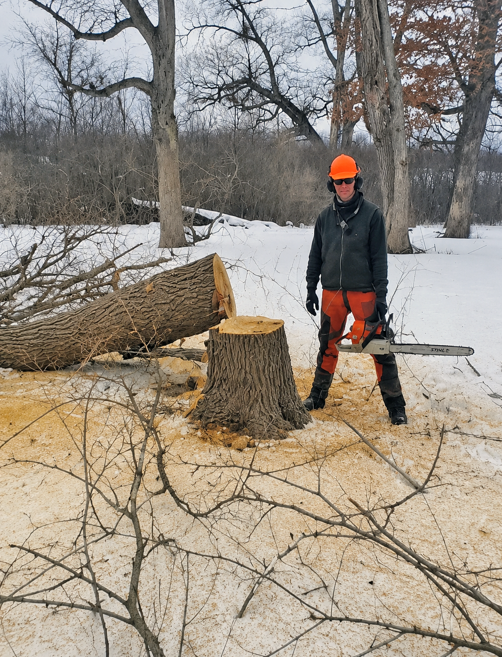 forest-management new - Tru Habitats